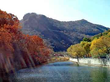 新澳天天开奖资料大全旅游团，恒星泵业